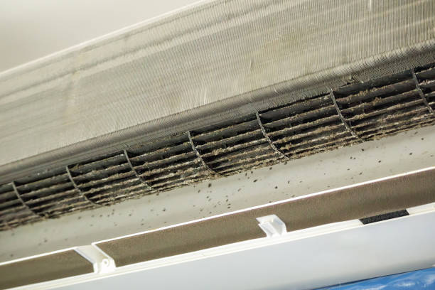 Best Affordable Duct Cleaning Services  in Empire, CA